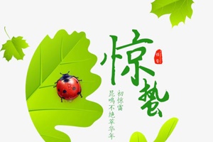 解讀三號節氣之——驚蟄