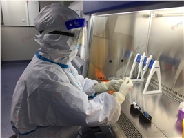 新法規| 強化實驗室室內質控，避免核酸檢測結果呈假陰性假陽性