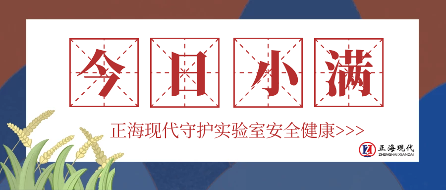 【小滿】今日小滿，小得盈滿